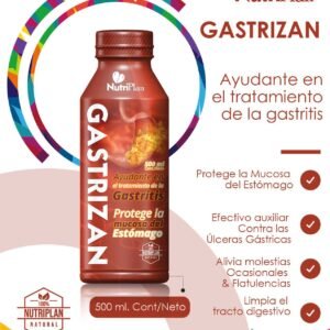 Gastrizan Nutri Plan 500ML